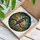 Macaw Parrot Witch Hat Stained Glass Tropical Flowers Mosaic Art - Glowing Tiffany Stained Glass Suncatcher - 3
