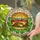 Double Cheeseburger Stained Glass Art - Golden Bun, Melted Cheese, Lettuce & Tomato Stained Glass Suncatcher - 2