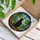 Black Cat Stained Glass Bookshelf Window Art Potted Plant - Book Lover Reading Home Decor Stained Glass Suncatcher - 3