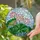 Blooming Lotus Flowers Stained Glass Mosaic Art - Detailed Seed Pod & Lotus Leaves Stained Glass Suncatcher - 2