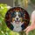 Tri-Color Australian Shepherd Dog Portrait Stained Glass - Tiffany Geometric Mosaic Art Stained Glass Suncatcher - 2