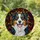 Tri-Color Australian Shepherd Dog Portrait Stained Glass - Tiffany Geometric Mosaic Art Stained Glass Suncatcher - 1