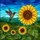 Sunflower Hummingbird Tiffany Stained Glass Glowing Translucent Jewel Tones Landscape Stained Glass Suncatcher - 5
