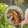 Colorful Tiffany Stained Glass Horse Head Art - Majestic Equine Mosaic with Jewel Tones Stained Glass Suncatcher - 2