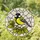 Great Tit Bird Stained Glass Tiffany Style Art - Yellow Belly Green Leaf Mosaic Detailed Stained Glass Suncatcher - 1