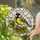 Great Tit Bird Stained Glass Tiffany Style Art - Yellow Belly Green Leaf Mosaic Detailed Stained Glass Suncatcher - 2