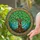Tree of Life Shamrocks Intricate Celtic Knotwork Stained Glass Decor - Tiffany Style Stained Glass Suncatcher - 2