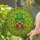 Brown Shaggy Dog Leprechaun Hat Four-Leaf Clover St. Patrick's Day Irish Celebration Stained Glass Suncatcher - 2