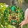German Shepherd Dog Leprechaun Hat Four Leaf Clover Tiffany Style - St. Patrick's Day Dog Lover Gift Stained Glass Suncatcher - 2
