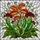 Carnivorous Plant Stained Glass - Venus Flytrap & Pitcher Plant Nature Art Collector Gift Stained Glass Suncatcher - 5