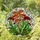 Carnivorous Plant Stained Glass - Venus Flytrap & Pitcher Plant Nature Art Collector Gift Stained Glass Suncatcher - 1