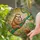 Adult & Baby Sloth Cuddle Stained Glass Tropical Vine Jungle Canopy Tiffany Art Stained Glass Suncatcher - 2