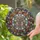 Dried Lavender Wildflower Bouquet Astrological Crescent Moon Tiffany Glass Style Jewel Tones Stained Glass Suncatcher - 2