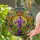 Purple Fleur-de-Lis Gold Crown Tiffany Art - Sun Rays Nautical Ships Baroque Filigree Stained Glass Suncatcher - 2
