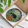 Sleeping Tuxedo Cat Plant Pot Stained Glass Pothos Vines Garden Mosaic Art Stained Glass Suncatcher - 3