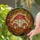 Toadstool Mushroom Ladybug Stained Glass Woodland Floor Red Berries Autumn Leaves Home Decor Stained Glass Suncatcher - 2