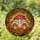 Toadstool Mushroom Ladybug Stained Glass Woodland Floor Red Berries Autumn Leaves Home Decor Stained Glass Suncatcher - 1