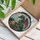 Majestic Fantasy Dragon Book Stack Teacup Red Berries Green Leaves Stained Glass Radiant Sky Stained Glass Suncatcher - 3