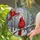 Stained Glass Male Cardinal Soaring Bird Winter Forest Tiffany Art Jewel Tone Decor Stained Glass Suncatcher - 2