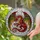 Vibrant Dragon Stained Glass Art - Majestic Pouncing Dragon with Ornate Wings & Jewel Tones Stained Glass Suncatcher - 2