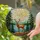Stag Forest Mountain Lake Tiffany Stained Glass Art - Glowing Translucent Jewel Tones Stained Glass Suncatcher - 2
