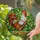 Majestic White Rooster Stained Glass Mosaic Art with Red Comb & Green Foliage Stained Glass Suncatcher - 2