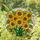 Sunflower Bouquet Stained Glass Art - Tiffany Style Jewel Tone Detailed Leaves Stained Glass Suncatcher - 1
