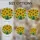 Sunflower Bouquet Stained Glass Art - Tiffany Style Jewel Tone Detailed Leaves Stained Glass Suncatcher - 4