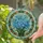Vivid Blue Forget-Me-Not Flowers Stained Glass Art Tiffany Style Mosaic Background Decor Stained Glass Suncatcher - 2