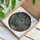 Tiffany Style Stained Glass Greenhouse Botanical Garden Potted Plants Decor Stained Glass Suncatcher - 3