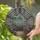 Tiffany Style Stained Glass Greenhouse Botanical Garden Potted Plants Decor Stained Glass Suncatcher - 2