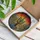 Saguaro Cactus Desert Landscape Tiffany Glass Stained Art - Prickly Pear & Blue Agave Stained Glass Suncatcher - 3