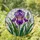 Majestic Purple Iris Flower In Bloom Stained Glass Art - Jewel Tone Home Decor Gift Stained Glass Suncatcher - 1