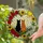 Black Cat Orange Tabby Heart Stained Glass Tiffany Style Roses Sunflowers Golden Sun Stained Glass Suncatcher - 2