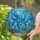 Detailed Blue Octopus Tropical Fish Underwater Seascape Edge-to-Edge Stained Glass Art Stained Glass Suncatcher - 2