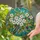 Dogwood Flowers Red Berries Stained Glass Mosaic Art - Tiffany Style Leaves Design Stained Glass Suncatcher - 2