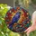 Majestic Raven Tiffany Stained Glass - Intricate Autumn Foliage Mosaic Jewel Tones Stained Glass Suncatcher - 2