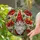 Friendly Gnome Poppy Flowers Bumblebee Stained Glass Art - Tiffany Style Design Stained Glass Suncatcher - 2