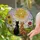 Black Orange Tabby Cats Sunflowers Daisies Rose Radiant Sun Tiffany Stained Glass Window Art Stained Glass Suncatcher - 2