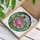 Pink Peony Monarch Butterfly Stained Glass Mosaic - Tiffany Style Home Decor Gift Stained Glass Suncatcher - 3