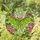 Lime Green Luna Moth Pink Flowers Stained Glass Tiffany Mosaic Jewel Tones Feathery Antennae Stained Glass Suncatcher - 1