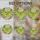 Lime Green Luna Moth Pink Flowers Stained Glass Tiffany Mosaic Jewel Tones Feathery Antennae Stained Glass Suncatcher - 4