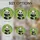 Black & White Baby Panda Stained Glass Tiffany Art - Emerald Green Bamboo Forest Mosaic Decor Stained Glass Suncatcher - 4