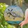 P-51 Mustang Fighter Plane Stained Glass Art - US Star Insignia Cloud, Water & Land Scene Stained Glass Suncatcher - 2