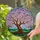 Majestic Gnarled Tree Cherry Blossom Tiffany Stained Glass with Intricate Roots - Vibrant Pink Stained Glass Suncatcher - 2