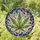 Cannabis Leaf Seven Lobes Stained Glass Tiffany Mosaic Intricate Veins Fractured Glass Stained Glass Suncatcher - 1