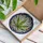 Cannabis Leaf Seven Lobes Stained Glass Tiffany Mosaic Intricate Veins Fractured Glass Stained Glass Suncatcher - 3