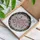 Personalized Bella Cherry Blossom Tiffany Stained Glass Mosaic Floral Translucent Decor - 3