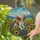 Stained Glass Cavalier King Charles Spaniel Sunflowers Lavender Rolling Hills Mosaic Sky Stained Glass Suncatcher - 2