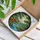 Scarlet Ibis Stained Glass River Mountains Moon Tiffany Art Wildlife Window Decor Stained Glass Suncatcher - 3